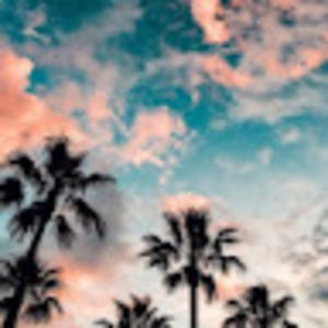 Meet your Posher, Manyasree